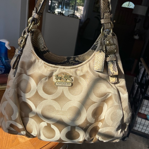 Coach Madison bag with snakeskin handles - Picture 1 of 11